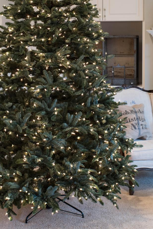 Blue Spruce Christmas Trees Delivered