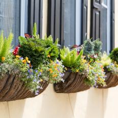 Window Boxes With Orange and Purple Flowers