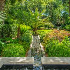 Tropical Garden With Reflecting Pool