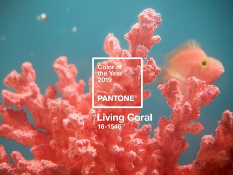 Pantone’s 2019 Color of the Year Is Living Coral