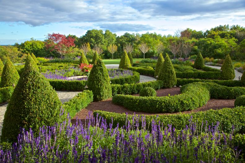 formal garden with topiaries and hedges