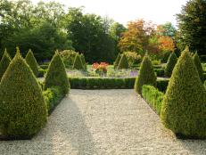 formal garden with topiaries