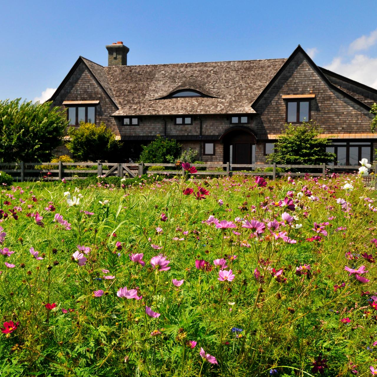 A Wildflower Garden In Your Backyard