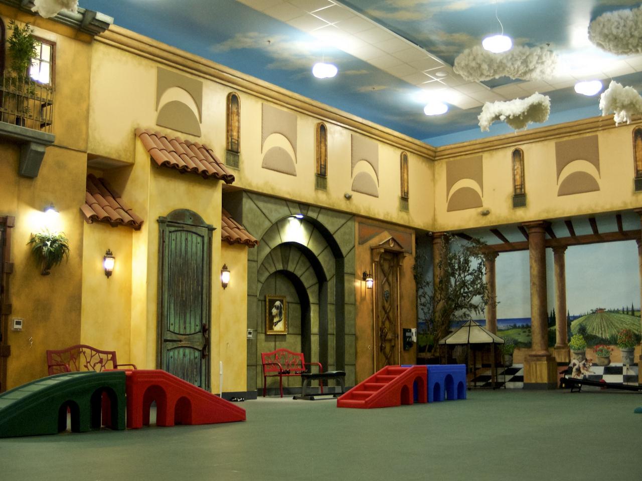 Indoor dog walking park cheap