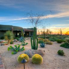 Front Yard Features Desert Flora