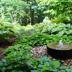 Woodland Garden With Bubbling Fountain