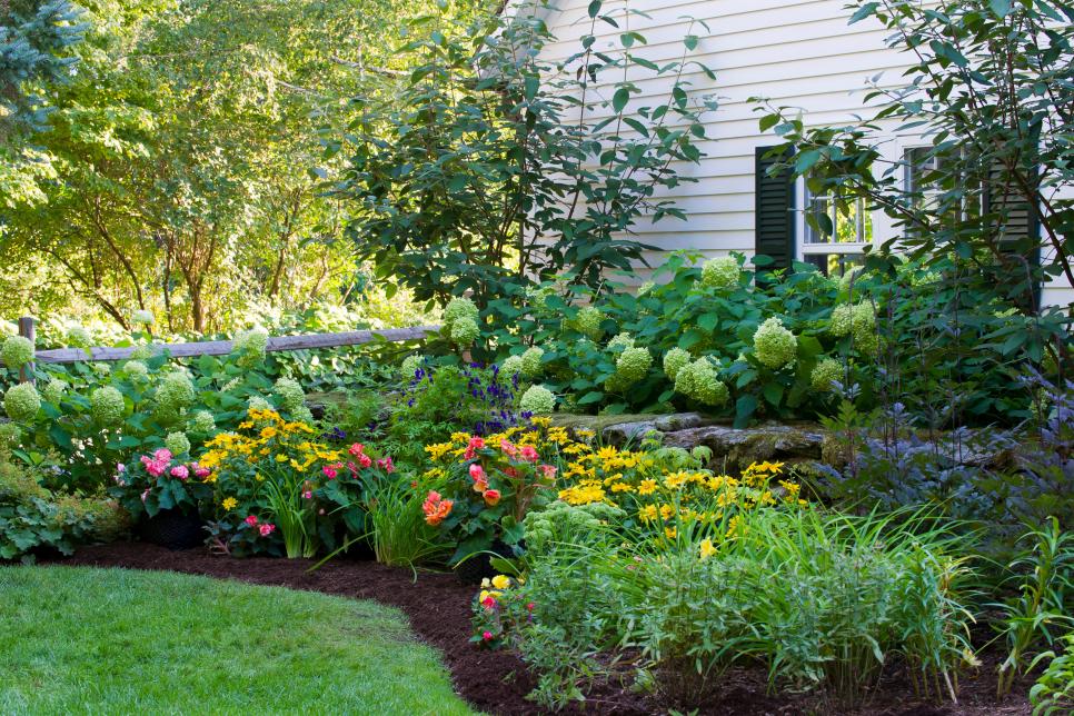 Types Of Mulch, Best Mulch For Garden