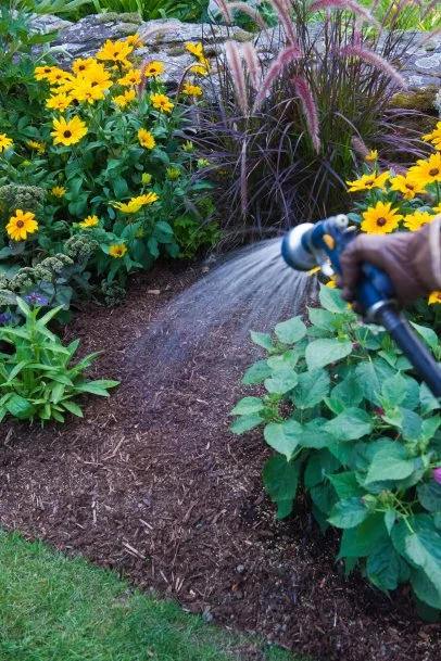 How to Choose Mulch for Yard: Expert Tips for a Lush Landscape