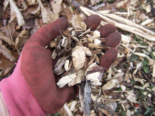 Use Wood Chips For Mulch