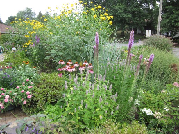 Pollinator Garden