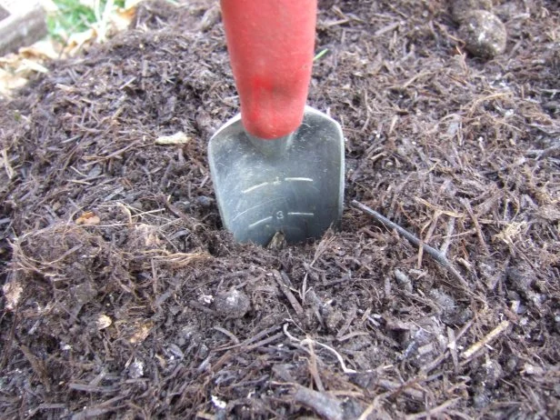 How Deep To Apply Mulch