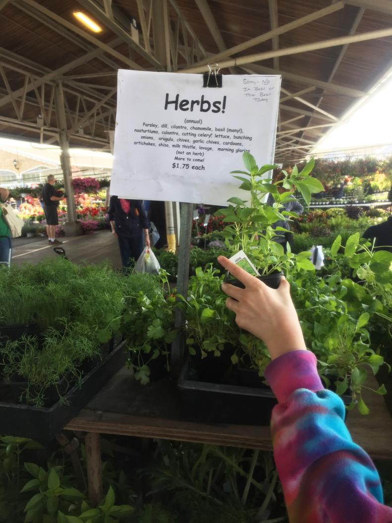 Let your kids choose their own herbs.