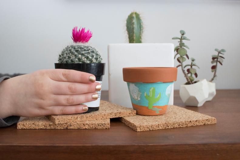 Create an indoor garden using cacti and succulents.