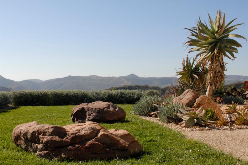 garden with boulders and aloes