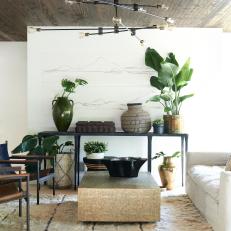 Contemporary Neutral Living Room With Plants