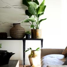 Black Console Table With Houseplants