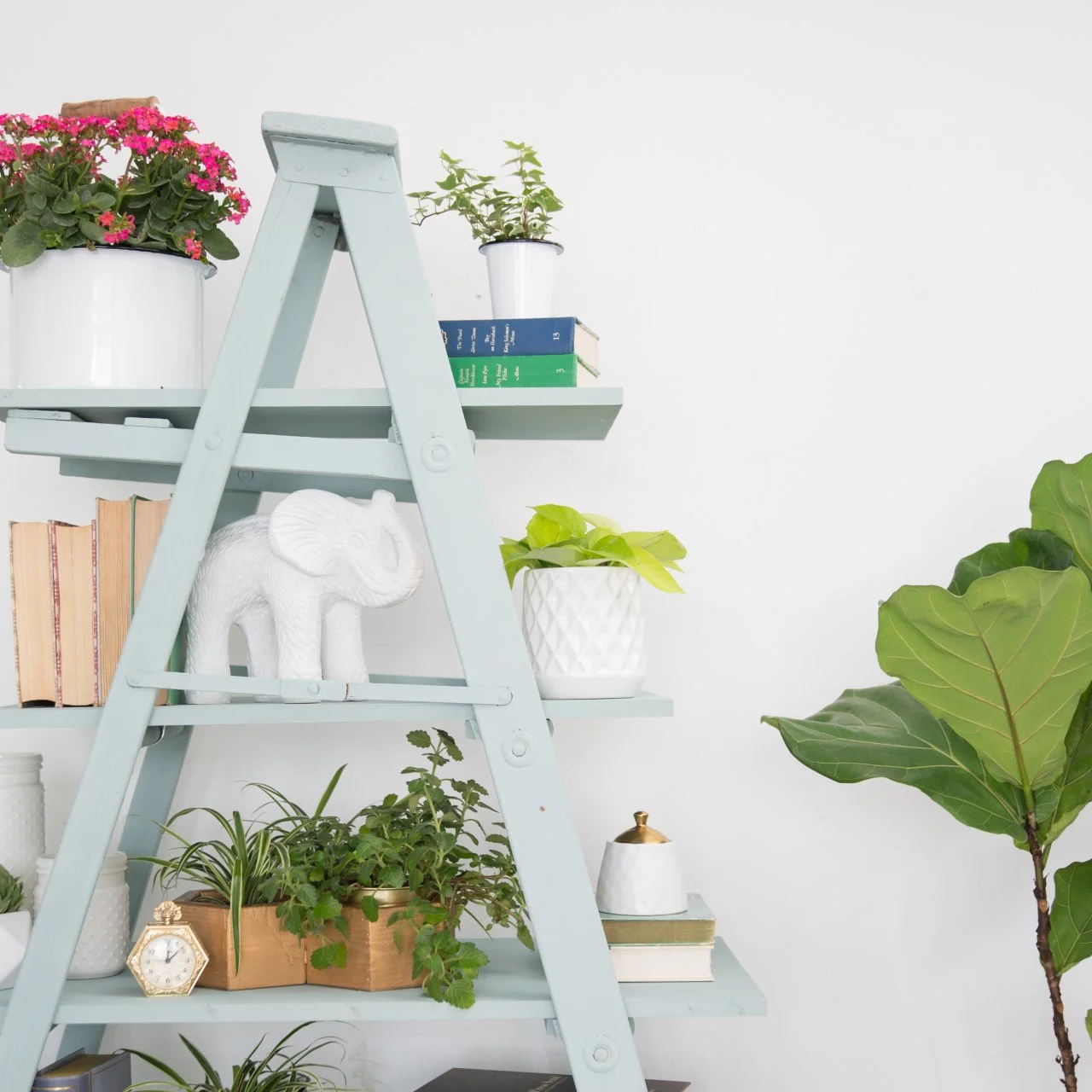 Making a ladder shelf sales
