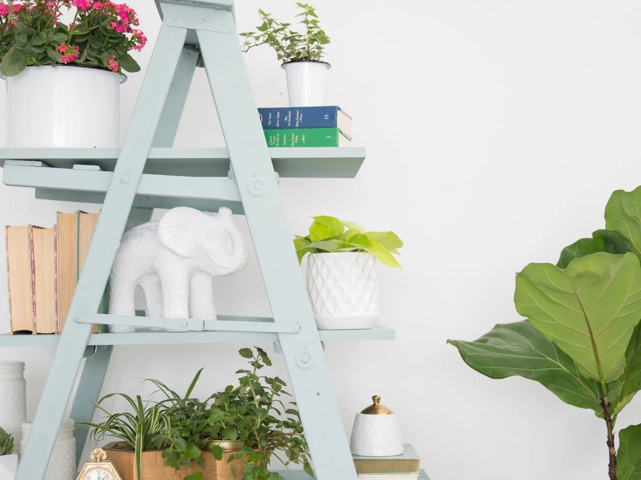How to Create a DIY Ladder Shelf | HGTV