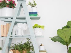 Ladder Shelf