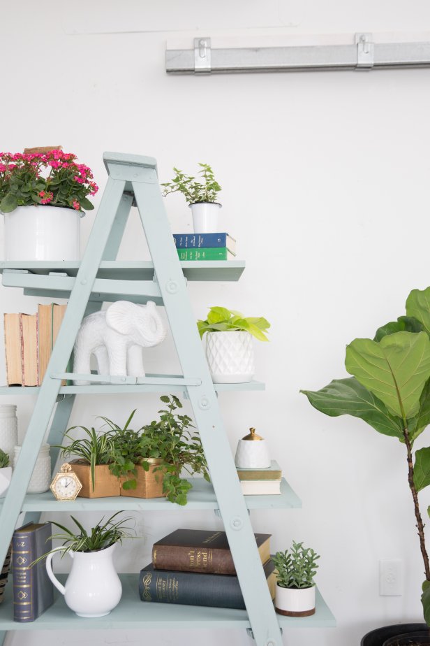 Ladder Shelf