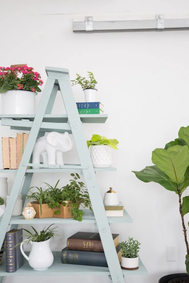 Ladder Shelf