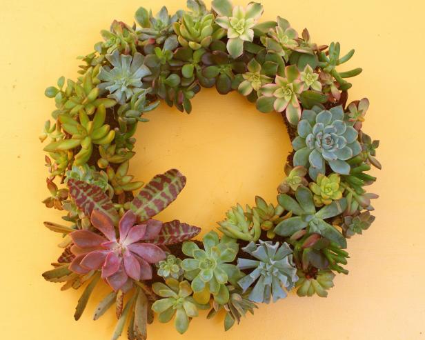 This succulent wreath is a modern twist on the classic door decor. 