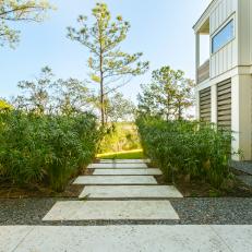 Path Lined With Ornamental Grasses