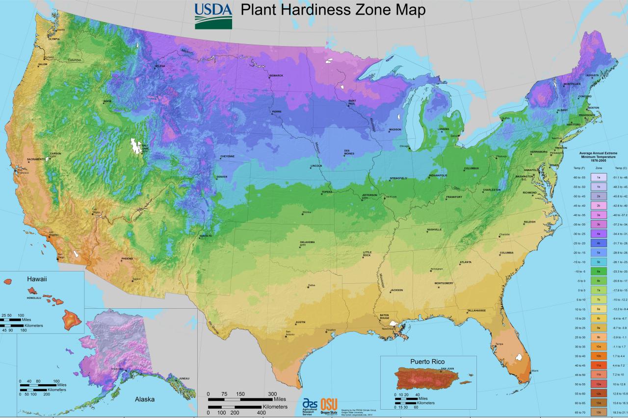 Usda Soil Temperature Map Usda Plant Hardiness Zone Map Information | Hgtv