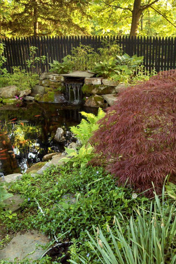 Backyard Koi Pond | HGTV