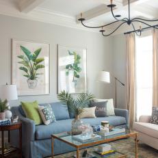 Transitional Living Room With Blue Sofa