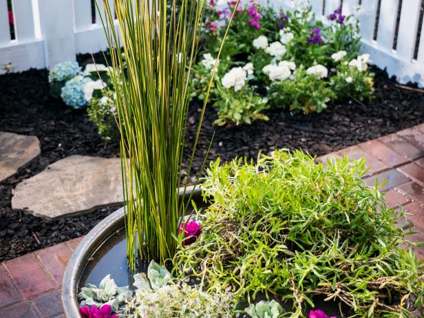 How to Make a Water Garden in a Pot | HGTV