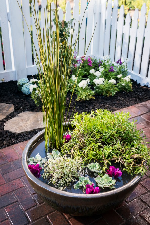 A simple water garden and all you do, is add water.