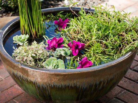 How to Make a Water Garden in a Flower Pot