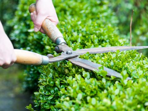 Pruning a Hedge