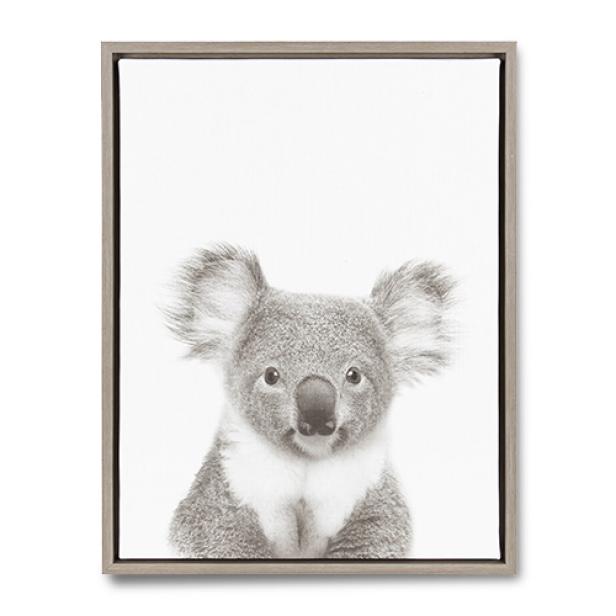 Koala Portrait Wall Art