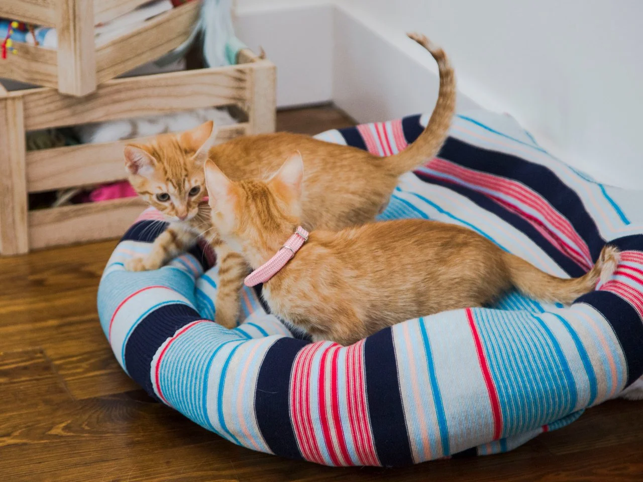 Upcycled dog bed on sale