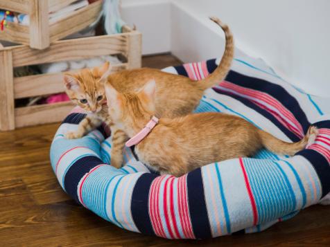 Transform Your Old Sweater Into an Ultra-Cozy Pet Bed