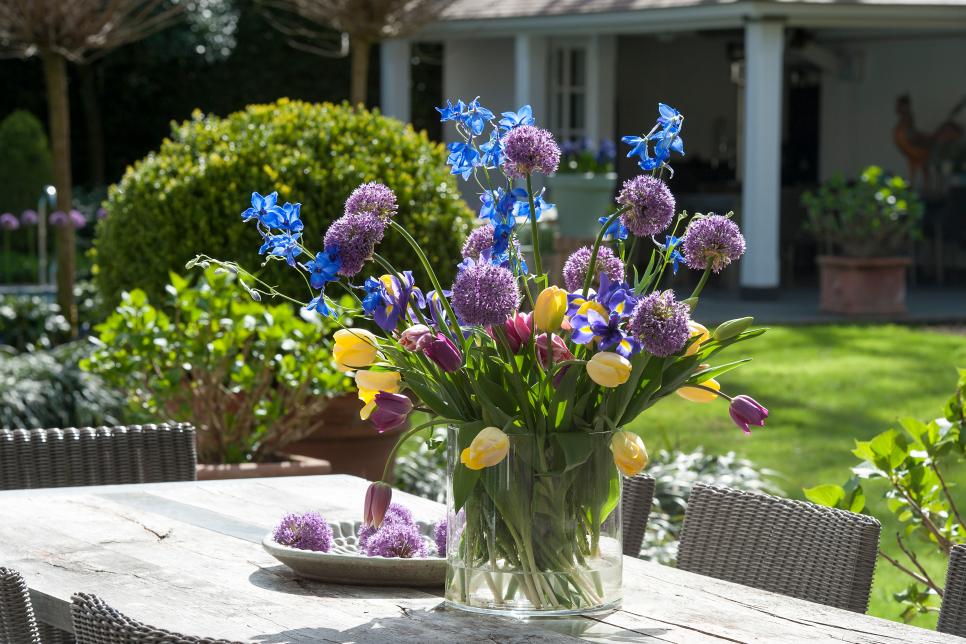 Tulips and Alliums: How to Plant