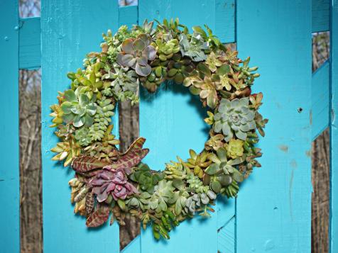 How to Make a Living Succulent Wreath