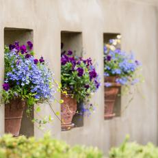 Flower Pots With Purple Blooms