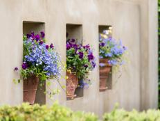 Wall and Pots With Purple Flowers