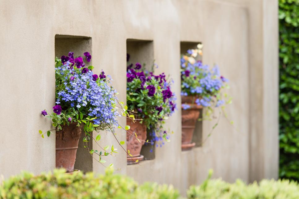 Pot Up Colorful Plant Combinations for Your Outdoor Spaces