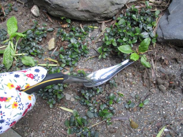 Ergonomically Designed Hand Weeder