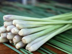 Lemongrass