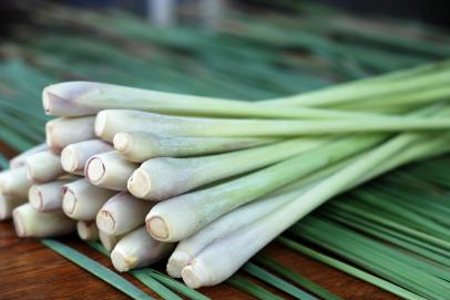 Grow Your Own Lemongrass Hgtv