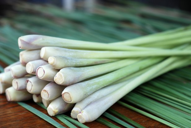 Lemongrass