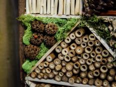 Insect Hotel, Step 26