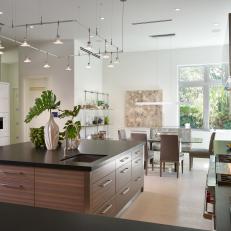 Contemporary Kitchen With Wood Island, Track Lighting
