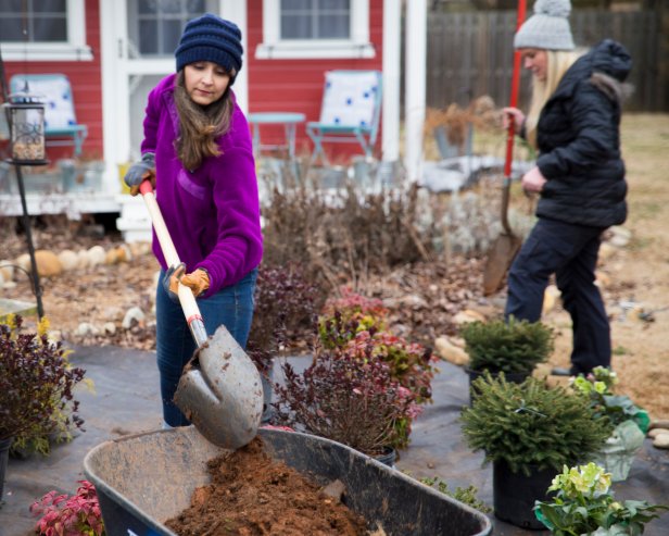 Planting Fall Perennials