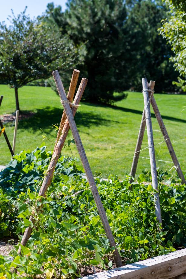 How to Create a Trellis in Your Garden | HGTV